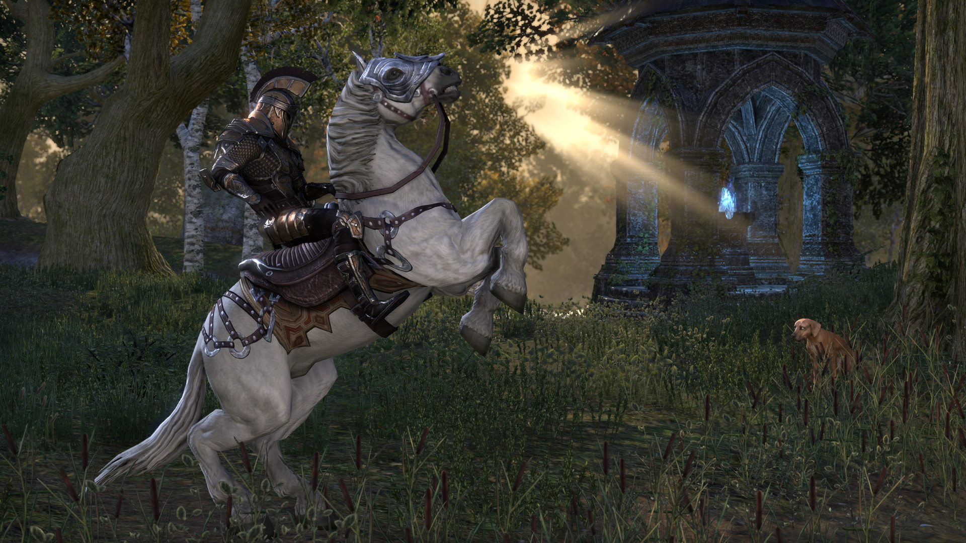 The Elder Scrolls Online Morthal Jarl Finery Costume DLC - TESO Key - GLOBAL