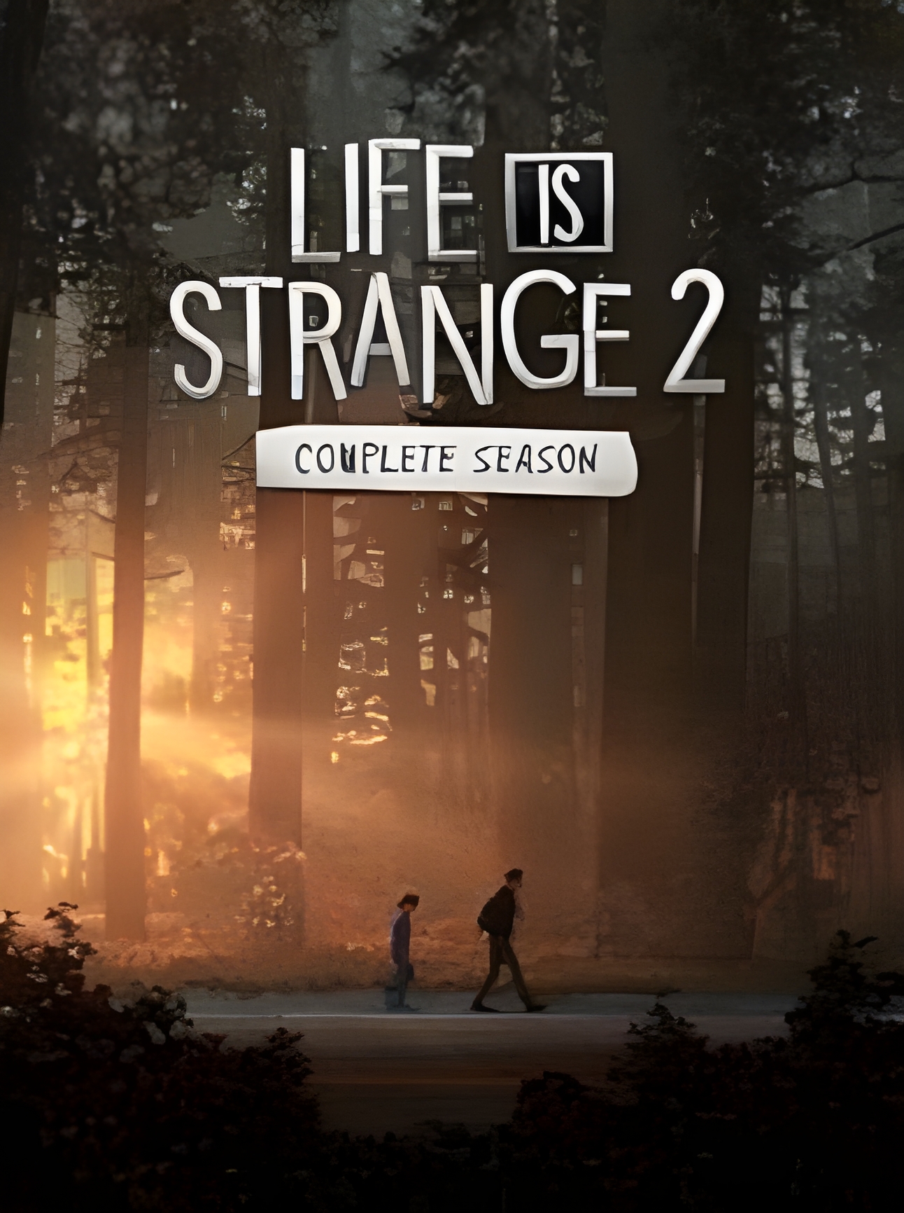 Life is Strange 2 Complete Season Steam Key GLOBAL