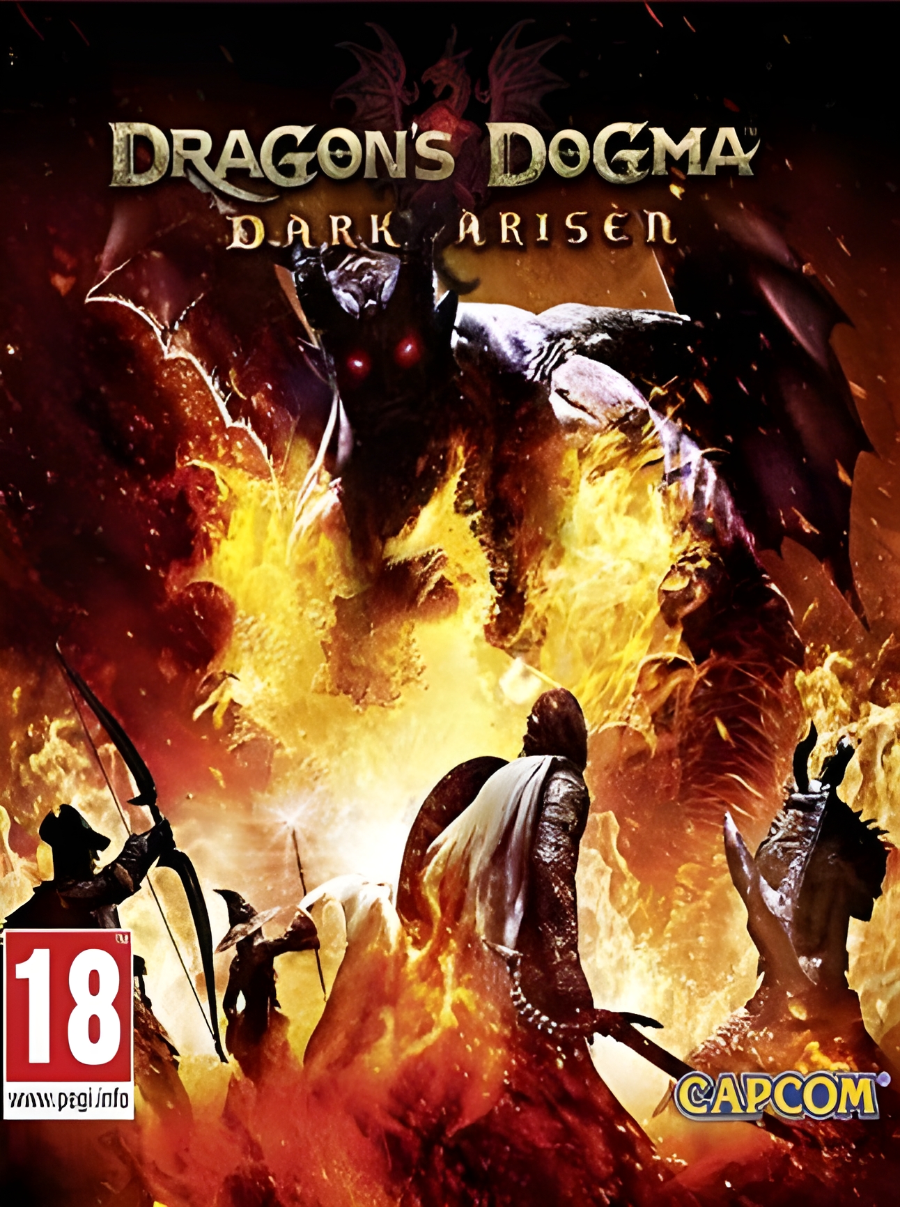 Dragon's Dogma: Dark Arisen Steam Key EUROPE
