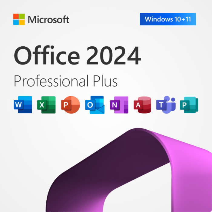Microsoft Office 2024 Professional Plus Microsoft CD Key - Microsoft Store - Global 