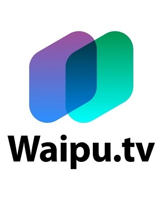WaipuTV Subscription | Perfect Plus 12 Months - waipu.tv Key - GERMANY
